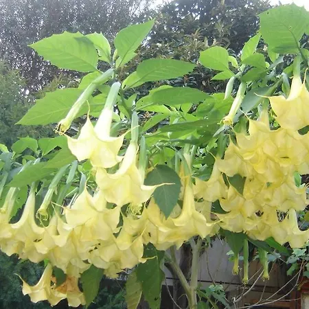 Apartamento L'annexe Menton