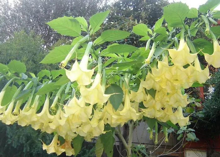 Appartement L'annexe Menton